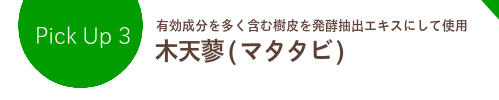 木天蓼