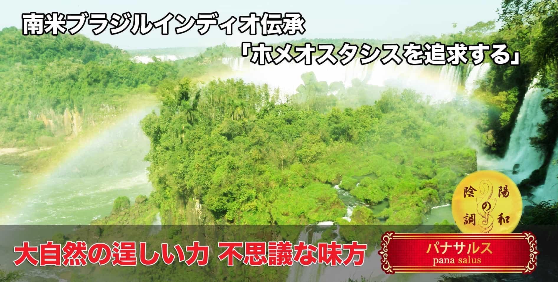 南米ブラジルインディオ伝承「ホメオスタシスを追求する」パナサルス